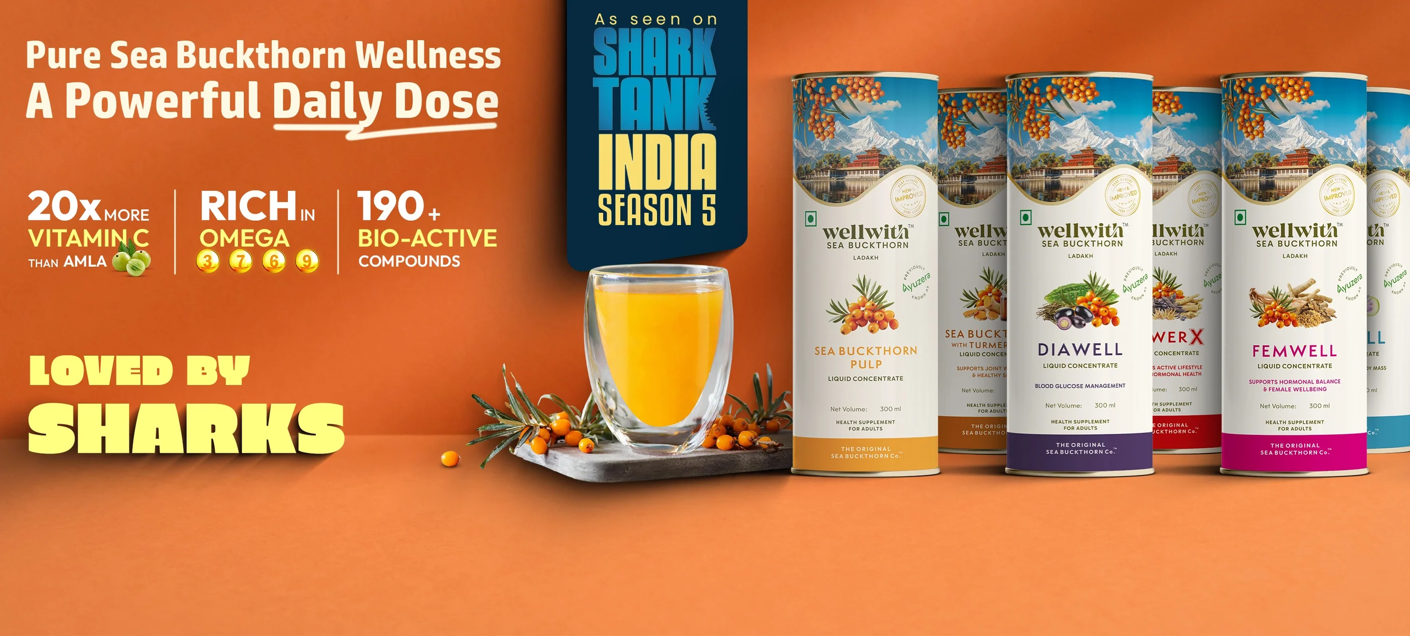 Ladakh’s Liquid Gold for Wellness